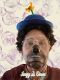 soapydclown